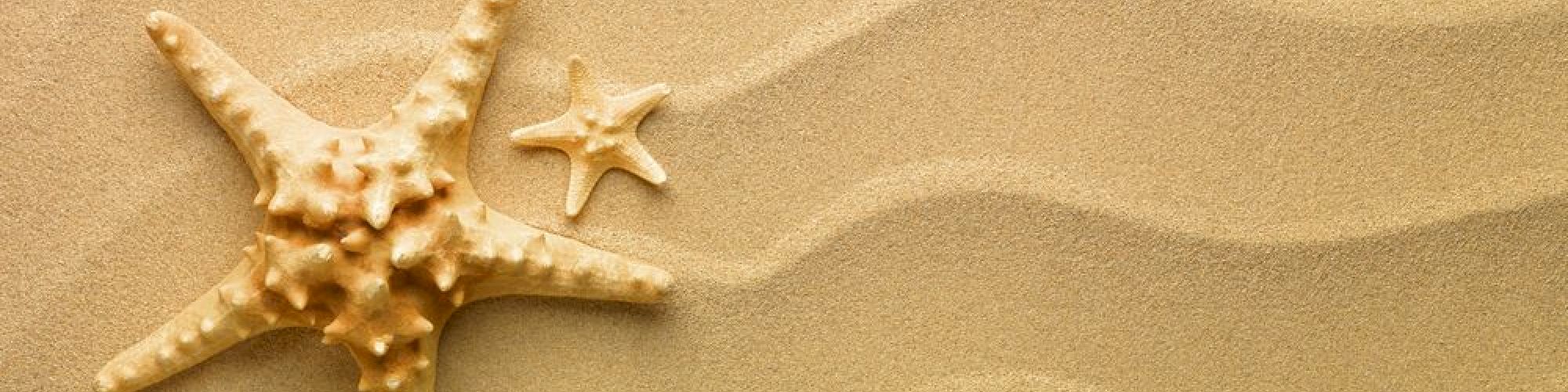 The image shows two starfish lying on fine, wavy-patterned sand, one larger than the other.