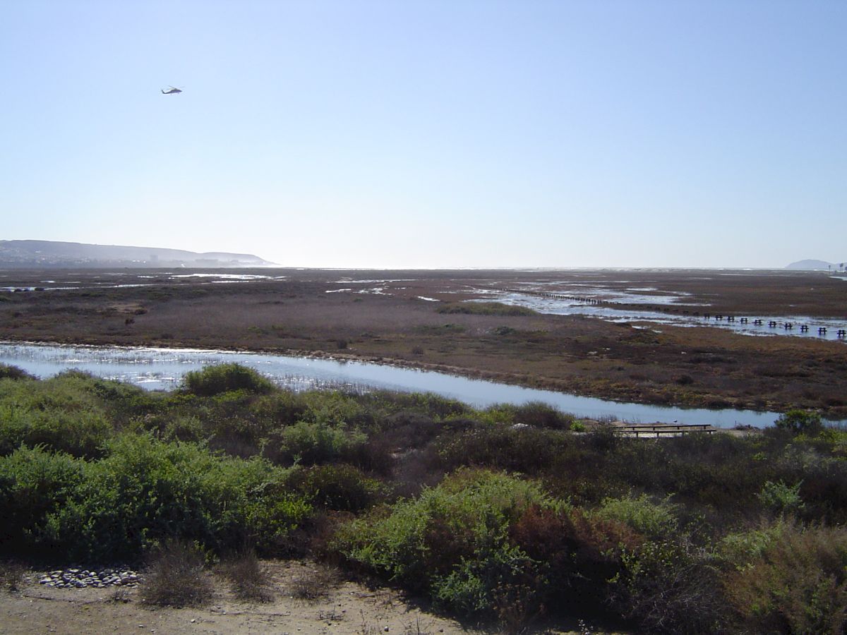 A scenic view of a wetland or marsh with water channels, vegetation, and distant landforms under a clear sky with a single bird flying high.