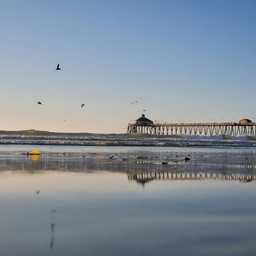 A serene beach scene with a long pier extending into the ocean, a few birds flying overhead, and the calm water reflecting the sky and structures.