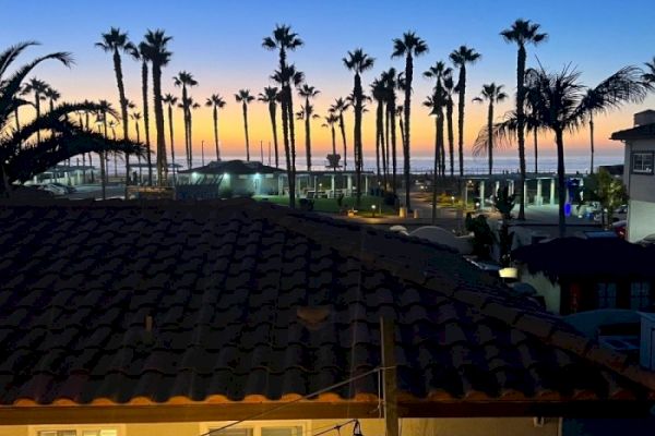 A rooftop view of a beach scene at sunset with silhouetted palm trees and a serene ocean in the background, captured in warm, fading light.